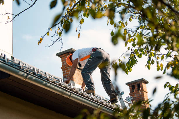 Best Local Roofing Companies  in Central City, IL