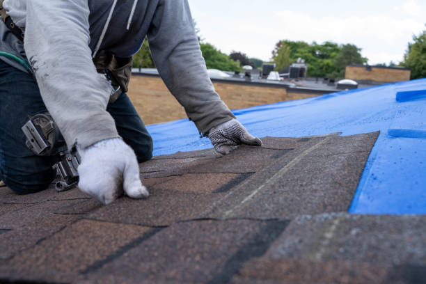 Tile Roofing Contractor in Central City, IL