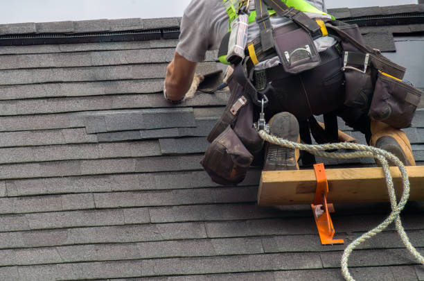 Best Shingle Roofing Installation  in Central City, IL
