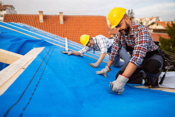 Best Roof Waterproofing Services  in Central City, IL