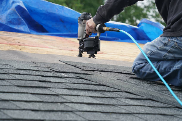 Best Flat Roof Repair Services  in Central City, IL
